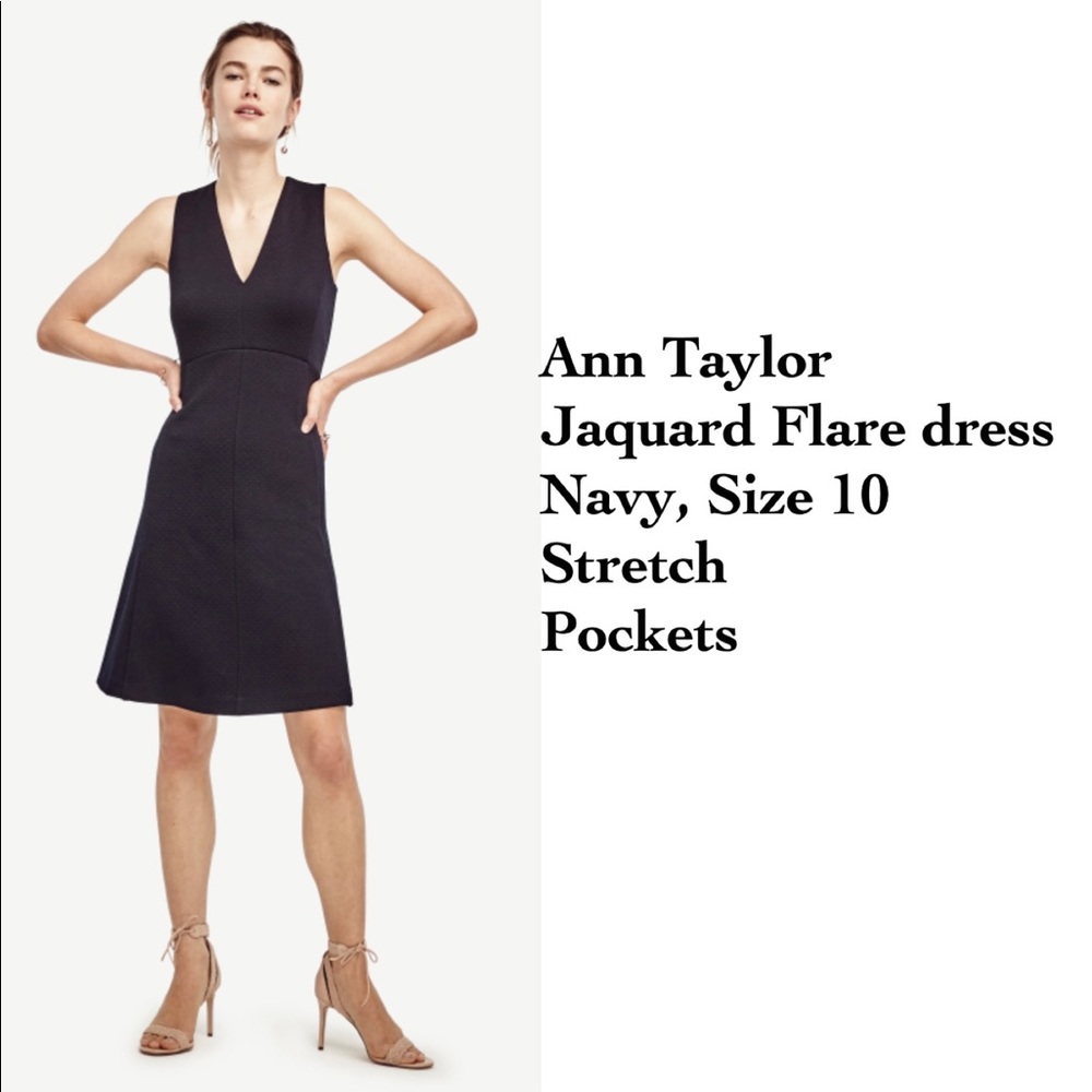 Jacquard Flare Ann Taylor Dress in Navy